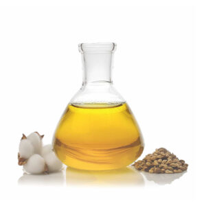 Cotton Seed Oil