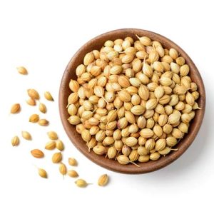Coriander