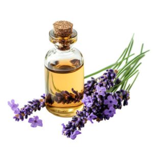 Lavender Essential Oil